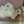 shoko_k