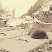アルクメネ