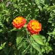 Emmako06