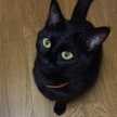 じじネコ