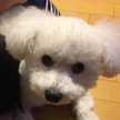 BLANC3298