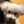 BLANC3298