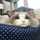 ＊＊miffy＊＊