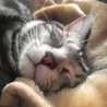 mitty0612