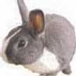 BUNNY★