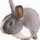 BUNNY★
