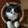 noah_twst noah_twst
