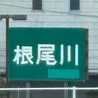 根尾川