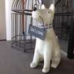 Prancer