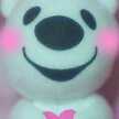 rio_oir