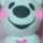 rio_oir rio_oir