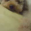 Bururin