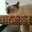 novesic