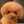 ヘルシープー