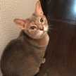 maddy103