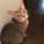 maddy103 maddy103