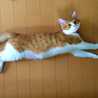 meguミ