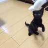 きょんたろっく