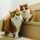 blackcat49 blackcat49