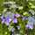 beyond_78 beyond_78