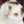 haru_cat