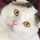 haru_cat