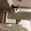 ゆーせらふぃ