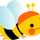 shima74 shima74