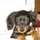 cafedog