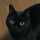 ジジねこちゃん