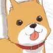 ♡はにこ♡