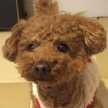 maki＊duffy