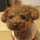 maki*duffy maki*duffy