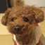 maki＊duffy
