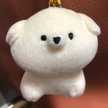kashu0126
