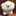 kashu0126