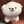 kashu0126