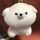 kashu0126