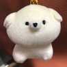 kashu0126
