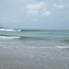 kokosurfin