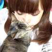 33ch△nnel
