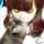 33ch△nnel 33ch△nnel