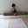0168_cook