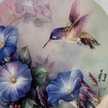 hummingbird