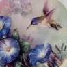 hummingbird