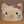 つじまい