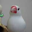 ハッピー19