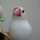 ハッピー19 ハッピー19