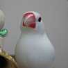 ハッピー19