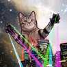 tirolはデカ猫